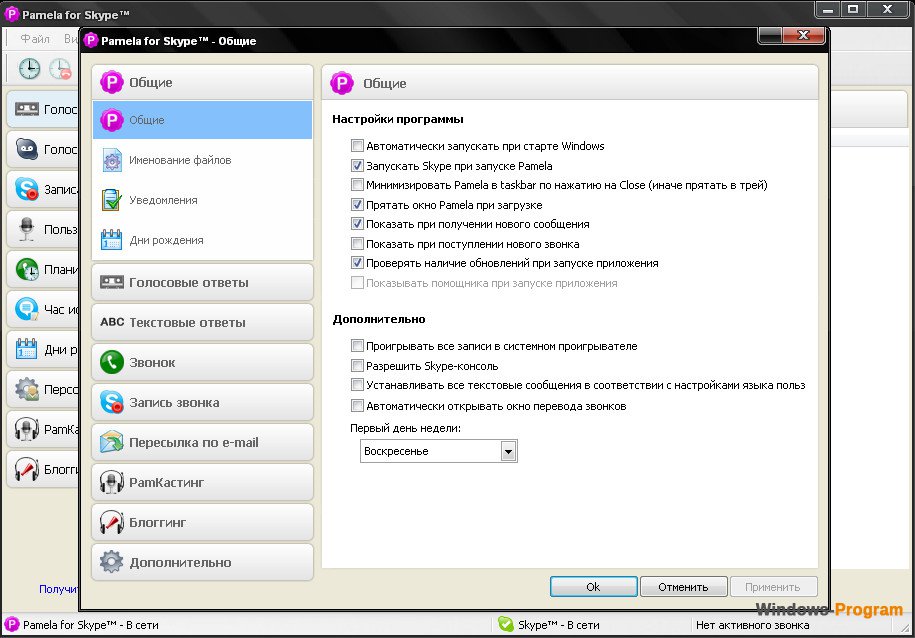 Ответы дополнительной. Pamela for Skype. Пуск программы Skype. Что такое Памела в скайпе.