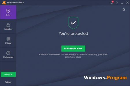 avast! Pro Antivirus 17.5.3585